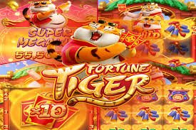 sky234 – Bảo mật và chính sách người dùng